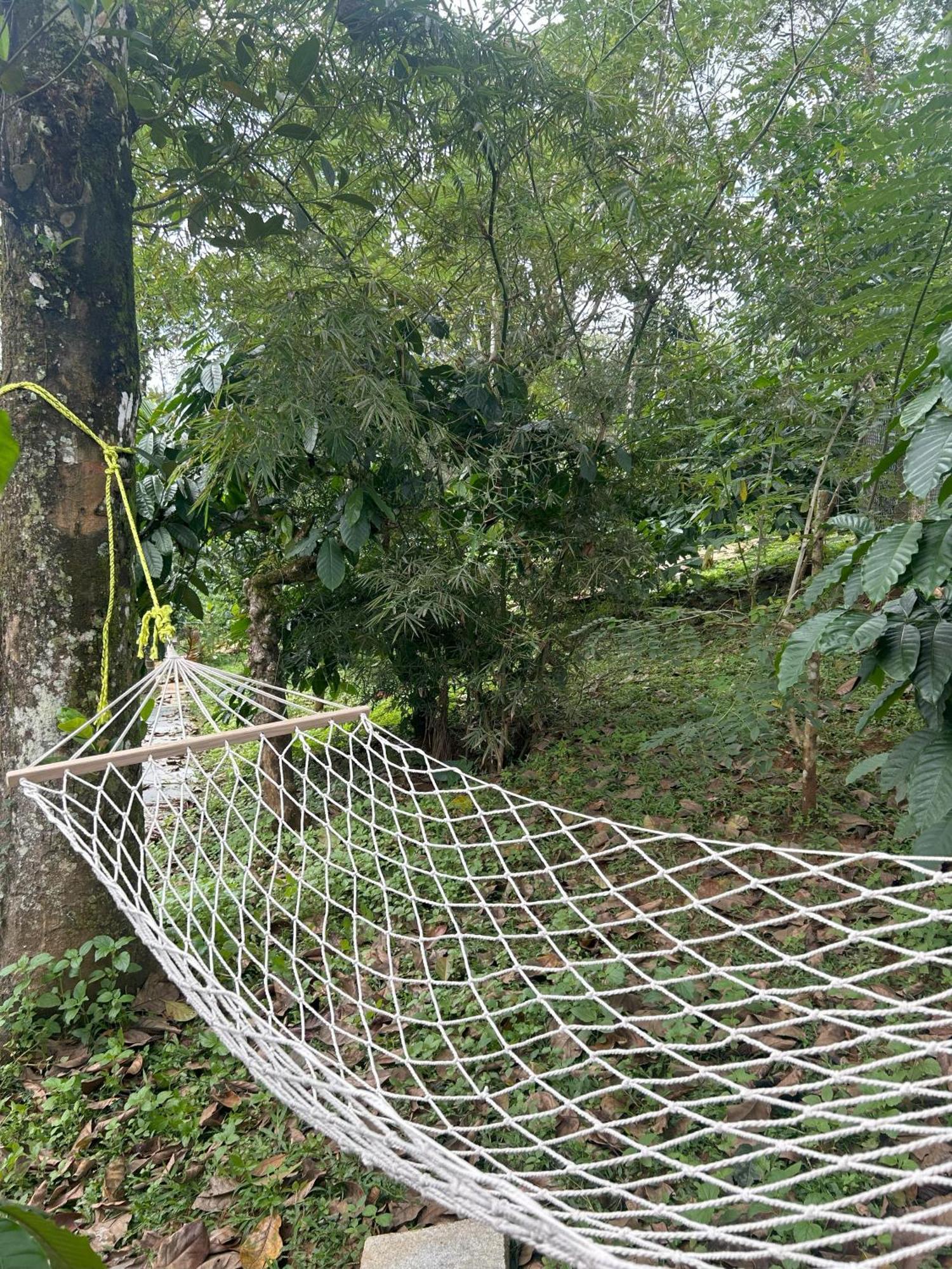 Sylvan Resort Wayanad Exterior photo