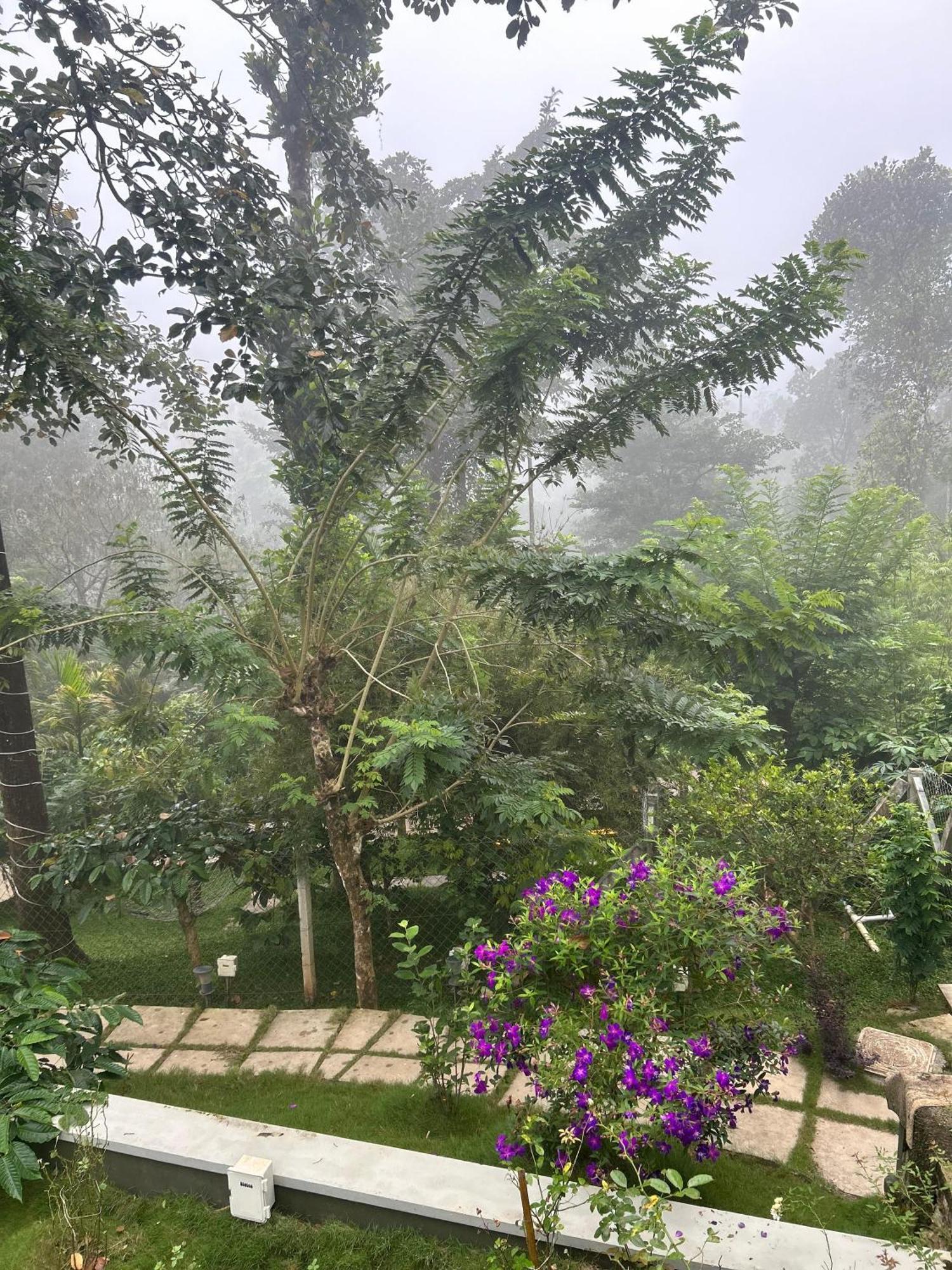 Sylvan Resort Wayanad Exterior photo